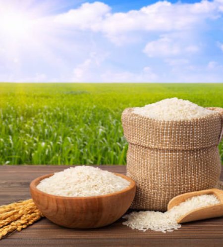 long white rice in burlap sack and wooden bowl with ears on table against the green agricultural field